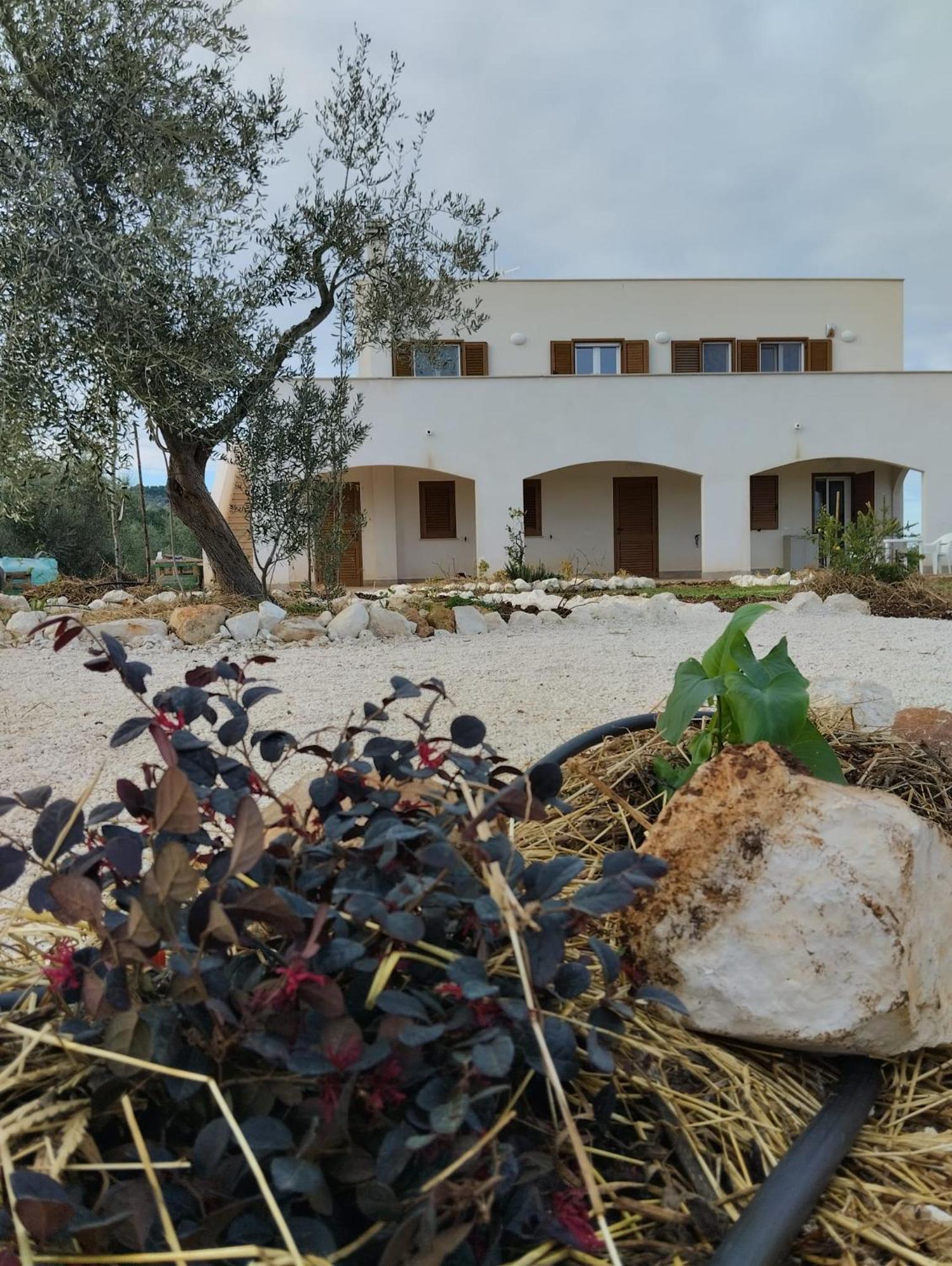Borgo Rosoli Vieste Exterior foto